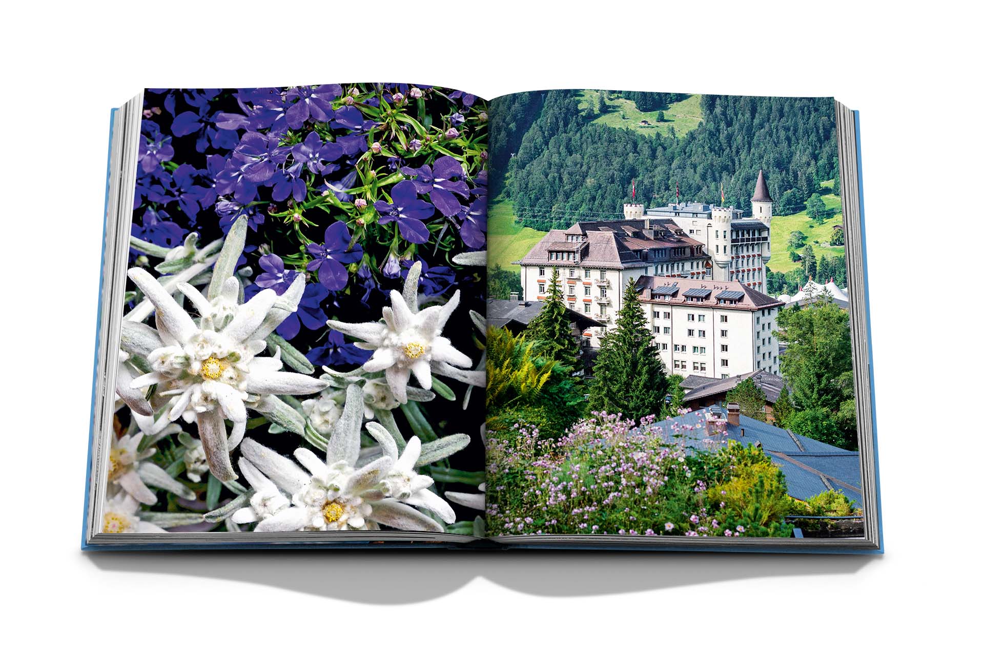 Buch Gstaad Glam