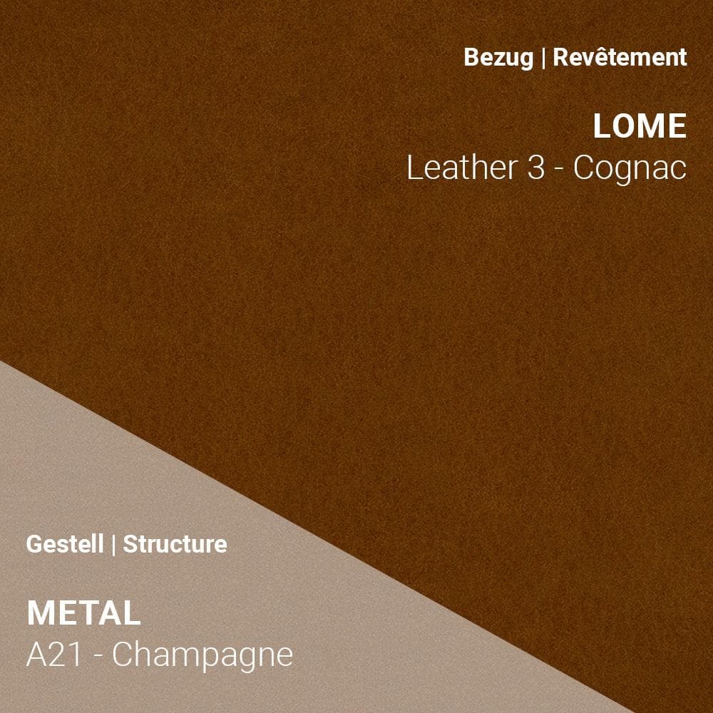 Stuhl COSY C0110 - Leder _ Mobitec _SKU C0110-UNI-H47-PM-A21-Leather